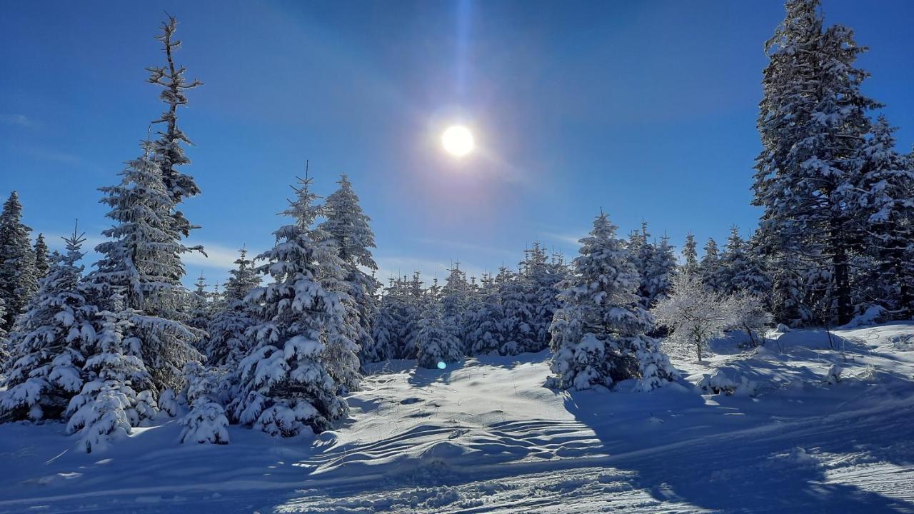 Belle Air Lodge Мёнихкирхен Экстерьер фото